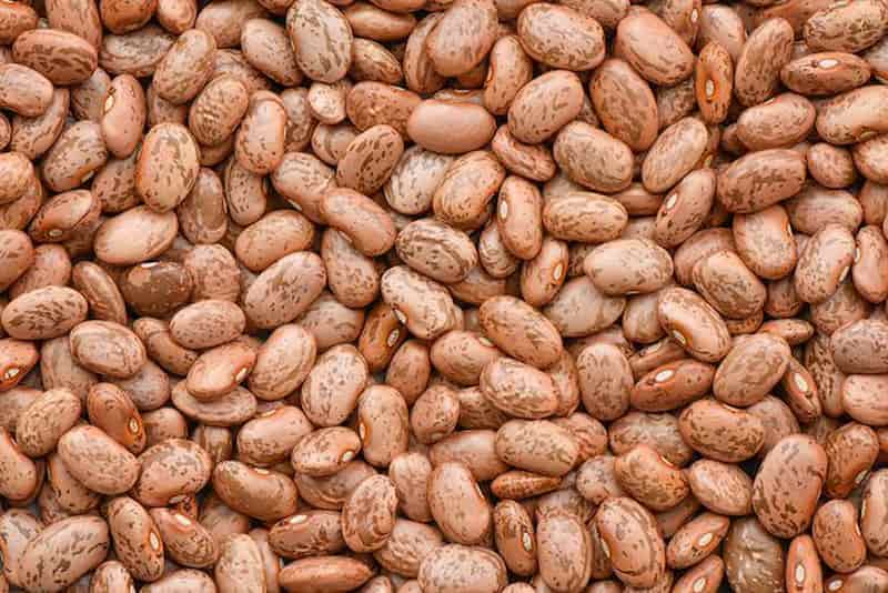 خرید و قیمت لوبیا چیتی خمین + فروش عمده